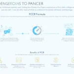 Discover the power of the Fixed Charges Coverage Ratio (FCCR) in assessing a company's financial health with our comprehensive infographic.