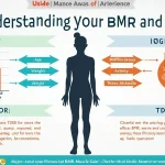 Unlock the secrets of your metabolism with our comprehensive BMR and TDEE infographic, guiding you towards personalized fitness and nutrition goals.